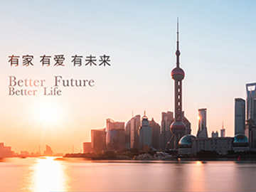 中民未来控股集团有限公司